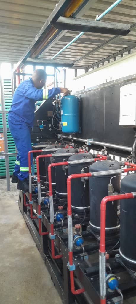 Technician servicing an industrial refrigeration compressor rack